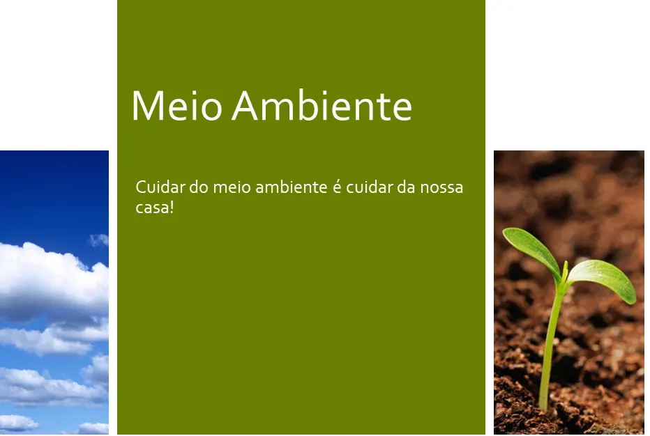 Meio-Ambiente-slide-para-o-blog-2 - thumb